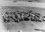 Corpses in the Kaufering IV concentration camp.