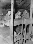 Survivors in a barracks in the Ampfing concentration camp.