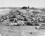 The bodies of Jewish prisoners who were killed at the Hurlach concentration camp, lie outside in rows near freshly dug mass graves alongside the barbed wire fence.