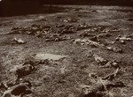 Corpses litter a field near the rail spur that served the Kaufering IV concentration camp.