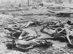 The charred corpses of prisoners lie amongst trash and rubble in the Kaufering IV concentration camp.