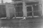 An SS guard dog lies in front of the kennel at Dachau.