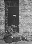 Prisoners' corpses in the doorway of a barracks in the Woebbelin concentration camp.