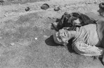 The corpse of a man in Woebbelin who died of starvation prior to the liberation of the camp by U.S.