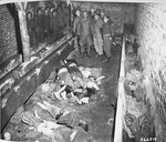 American troops look at prisoners' bodies found in a latrine in the Woebbelin concentration camp.