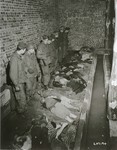 Troops with the American 82nd Airborne Division examine corpses found in the latrine of the Woebbelin concentration camp.
