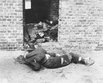 Corpses in the Woebbelin concentration camp.