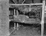 Monsieur Della Giacomo of Limoges, France lies on a bunk made of barbed-wire and rags in the newly liberated Woebbelin concentration camp.