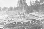 View of rows of large logs lying side-by-side in the Klooga concentration camp.