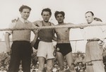 Boxing match in the Neu Freimann displaced persons camp.