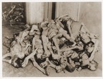 A pile of corpses lies in the morgue of the crematorium in the newly liberated Dachau concentration camp.