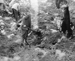 German civilians from Schwarzenfeld exhume the bodies of 140 Hungarian, Russian, and Polish Jews from a mass grave near the town.