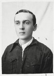 Identification photograph of Levi Majranc taken in Rzeszow while in hiding.