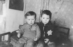 Portrait of two young boys wearing Jewish badges in the Kovno ghetto, taken shortly before their round-up in the March 1944 "Children's Action."

Pictured are Avram (5 years) and Emanuel Rosenthal (2 years).