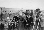 Jewish members of an Hungarian labor battalion pose with shovels at a work site.