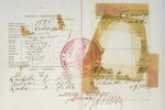 Passport of Frymeta Goldberg.