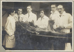 Medical students examine a cadaver in a university lab in Prague.