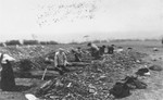 German civilians digging graves for corpses found in Ohrdruf by the U.S.