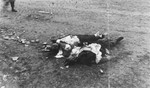 Corpses found in Ohrdruf awaiting burial.