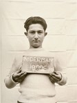 Ignac Niderman holds a name card intended to help any of his surviving family members locate him at the Kloster Indersdorf DP camp.