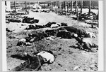 The bodies of prisoners who were killed immediately upon their arrival to the Jasenovac concentration camp.