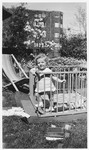 A young Jewish girl stands in a playpen in the yard of her parent's home in Amsterdam.