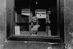 A shop window in the Warsaw ghetto advertising different services, including stocking repair, passport photos and manicures.