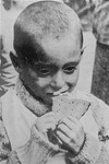 Portrait of a starving child eating a piece of bread in a hospital in the Warsaw ghetto.