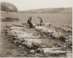 Two German civilians lay out the corpses exhumed from a mass grave in the vincinity of Hirzenhain.