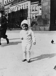 A young Jewish child chases pigeons on a street in Warsaw.