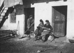 Jewish refugees perform daily tasks in a farm where they were hiding Valle Stura, Italy after crossing over the border from France.