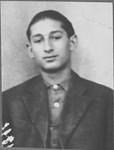 Portrait of Solomon Ergas, son of Yosef Ergas.  He was a student.