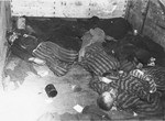 The bodies of former concentration camp prisoners lie in a railcar in Schwandorf.