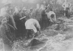 Soviets exhume a mass grave in Zloczow shortly after the liberation.