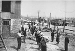 Jewish prisoners carry bolts of cloth to the Madritch factory in Plaszow.