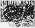Under the supervision of American soldiers, German civilians from Neunburg vorm Wald place corpses into coffins for transportation to the town cemetery where they will be properly buried.