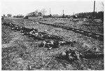 The bodies of Italians who shot by the Gestapo in Wilhelmshoehe on March 31, 1945 lie next to a railroad tracks after their exhumation from a mass grave.