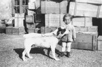 Portrait of the donor's son, Heinrich Muller, with a dog in the courtyard behind their home and business in Hlohovec, Czechoslovakia.