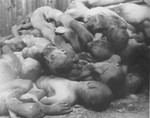 Corpses of prisoners killed in Ohrdruf shortly before the camp's liberation.