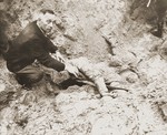 Handry Hundblut, formerly a major in the SA and wartime tank commandant, exhumes the body of one of 71 political prisoners from a mass grave on Wenzelnberg near Solingen-Ohligs.