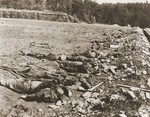 The corpses of slave laborers shot by the SS in the vicinity of Hirzenhain.