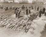 German civilians from Schwarzenfeld dig graves for the reburial of 140 Hungarian, Russian, and Polish Jews exhumed from a mass grave near the town.