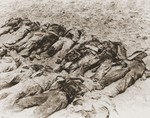 The bodies of political prisoners exhumed from a mass grave on Wenzelnberg near Solingen-Ohligs.