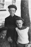 Three orthodox Jewish boys pose together under a tree in the Feldafing displaced persons' camp.