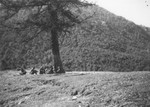 Jewish refugees rest under a tree during their escape over the Alps to Italy from the Italian-occupied zone in France following the signing of the Italian armistice.