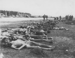 American troops examine a row of bodies laid out in a row in Hurlach concentration camp.