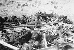 The charred remains of corpses burned by the SS prior to the evacuation of the Ohrdruf concentration camp.