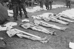 American soldiers stand among corpses laid out for burial by German civilians conscripted to clean up the Ohrdruf concentration camp.
