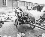 Corpses are piled on a cart in the Gusen concentration camp.