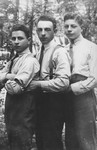Three Polish-Jewish youth pose in a park.

Shlomo Halter (the uncle of the donor) is on the right.